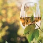 Vinos sin aditivos. Vinos Devotio. Vinos naturales y ecológicos en Valencia.