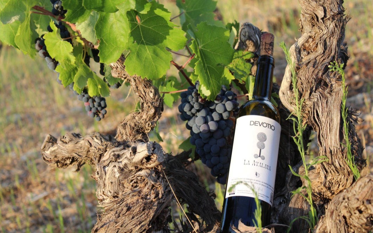 La tradición y valores vitivinícolas del Alto Turia