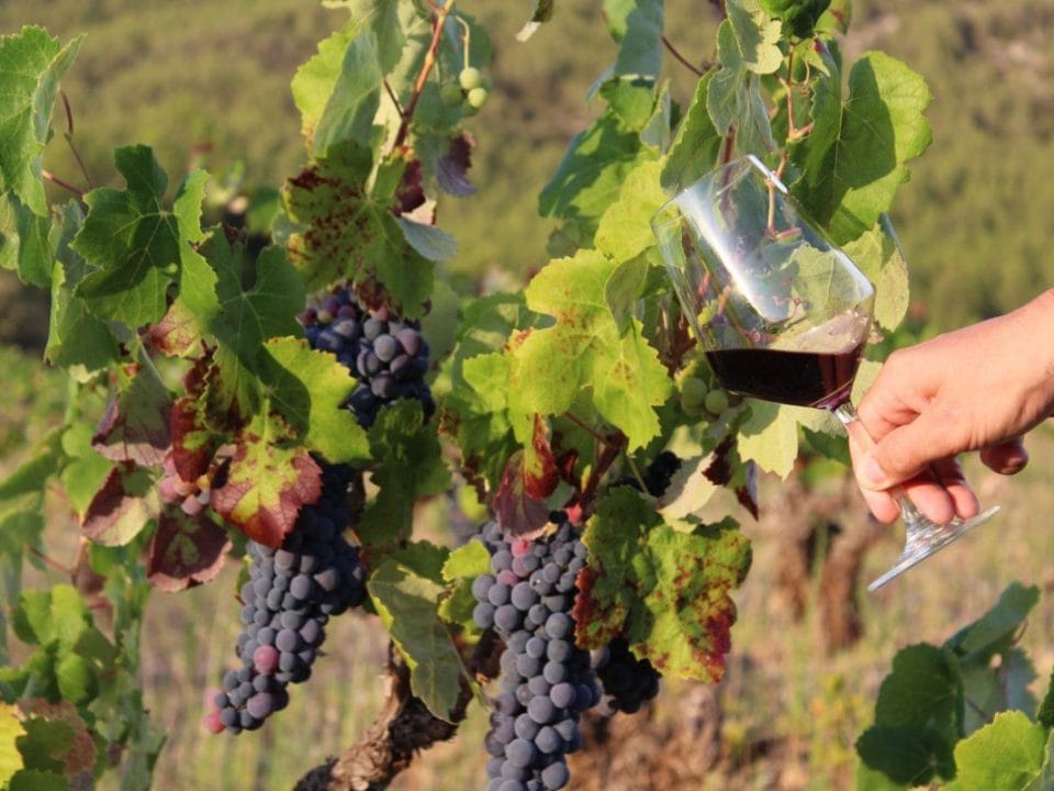 El debate sobre la elaboración de vinos con aditivos o sin aditivos