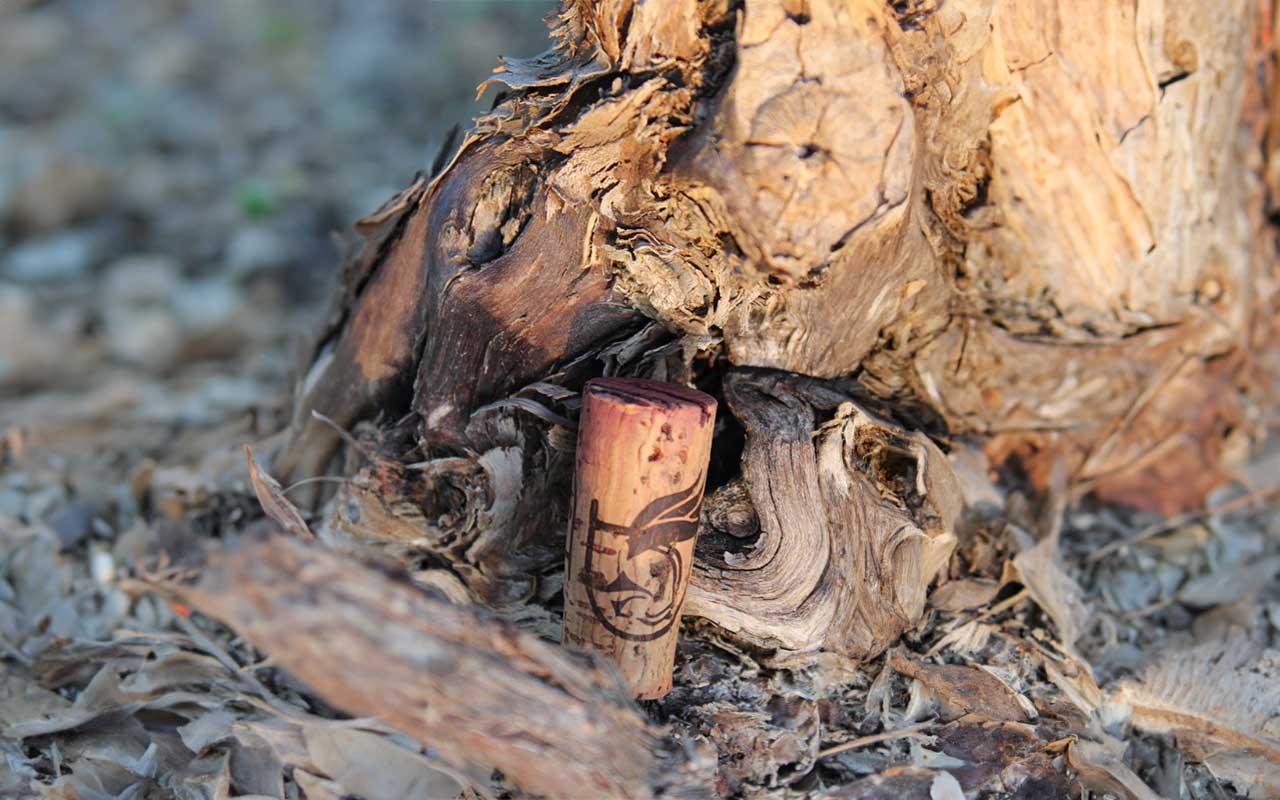 El desafío de una pequeña bodega: Calidad frente a grandes competidores y aficionados