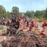 Cómo el abandono de la gestión territorial agrava el impacto de las lluvias extremas de la Dana en Valencia