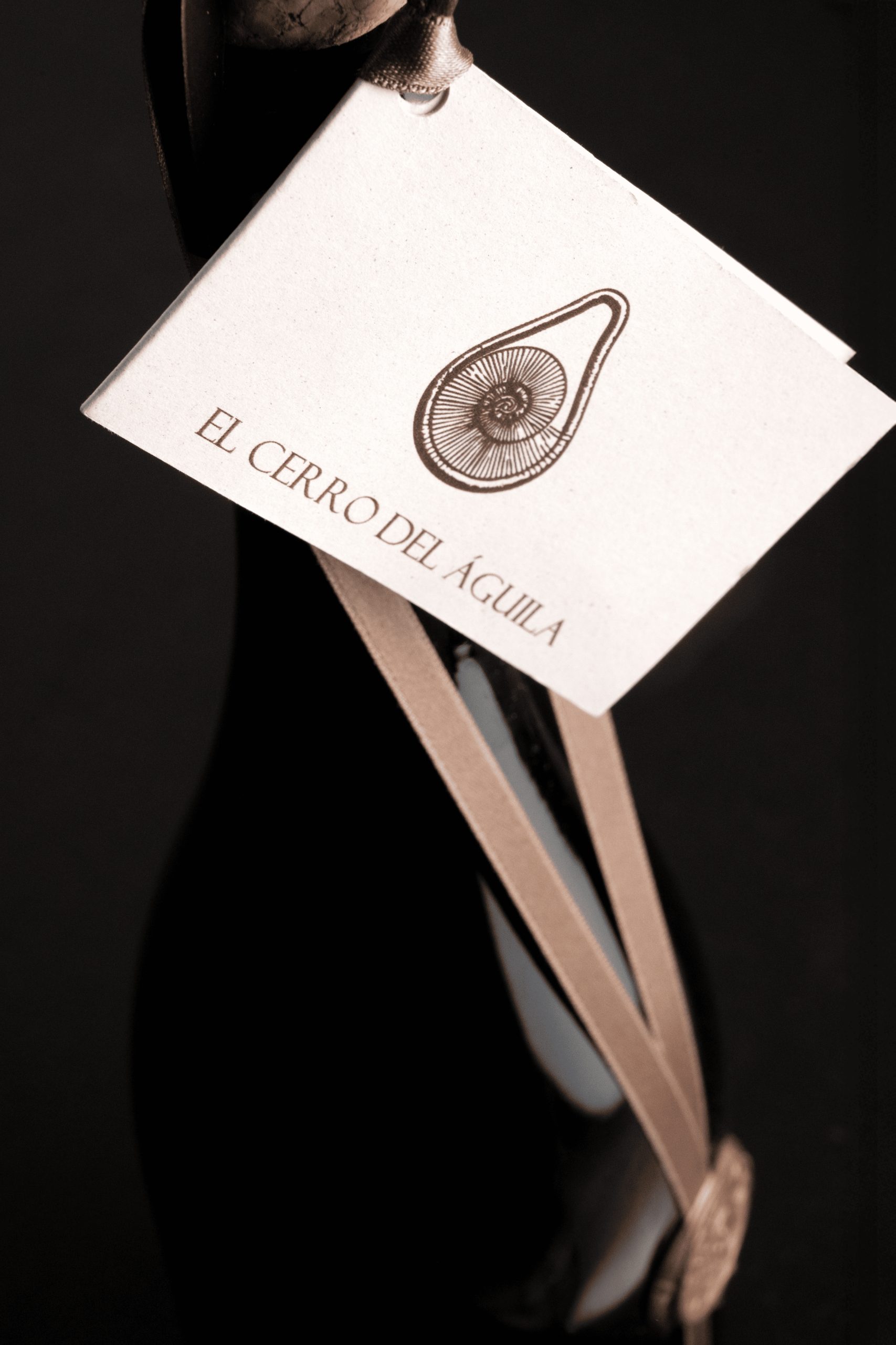 Devotio El Cerro del Águila - Imagen 2